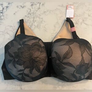 The Modern Cacique Collection Black Nude Lace Bra BALCONETTE New 42DDD $62.95